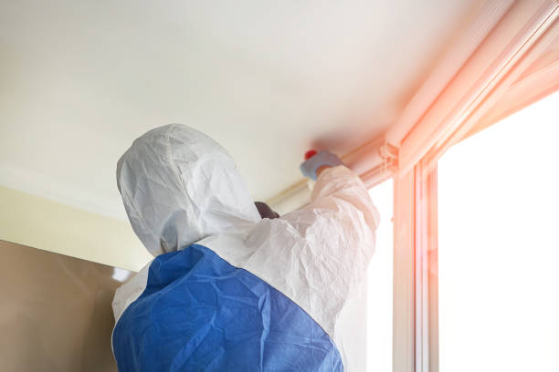 Why You Should Choose Our Mold Remediation Services in Edcouch, TX